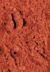 Sennelier kunstenaars pigmenten, pot 200 ml, Red ochre 90 g