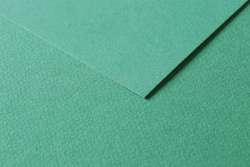 CLAIREFONTAINE TULIPE gekleurd knutselpapier, losse vellen, 50 cm x 65 cm, Dark green