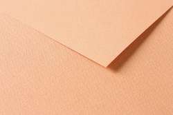 CLAIREFONTAINE TULIPE gekleurd knutselpapier, losse vellen, 50 cm x 65 cm, Salmon