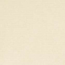 Hahnemühle Dürer Ingres-Bütten papier, losse vellen, 48 cm x 62,5 cm, Ivory