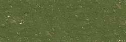 Moss grey green 169