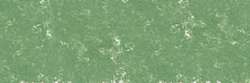 Moss grey green 172