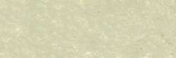 Moss grey green 174