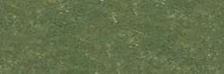 Reseda grey green 213