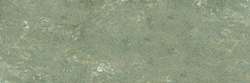 Reseda grey green 214