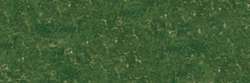 Olive green 237