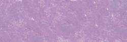 Purple blue 284