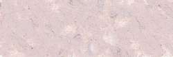 Van Dyck violet 409