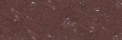 Violet brown lake 441