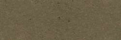 Raw Sienna 508