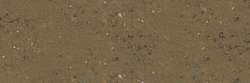 Raw Sienna 509