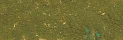 Cinnabar green 751