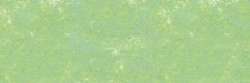 Forest green 916