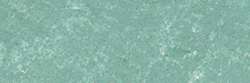 Lichen green 950