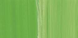 Chrome green light