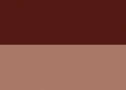 Acrylverf Abstract van Sennelier®, 27 ml, Burnt Sienna