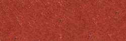 Burnt Sienna 462
