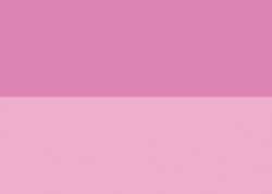 Acrylverf Abstract van Sennelier®, 27 ml, Quinacridone pink
