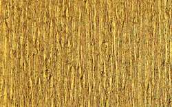 Clairefontaine metallic crepe papier, 2,50 m x 0,50 m, goud-wit