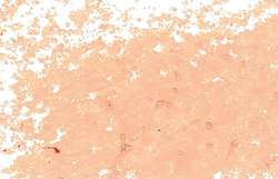 JAXON® oliepastelkrijt los, Salmon pink