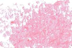 JAXON® oliepastelkrijt los, Pink madder