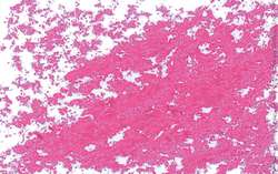 JAXON® oliepastelkrijt los, Cold pink