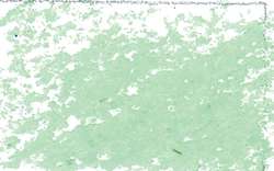 JAXON® oliepastelkrijt los, Pale green