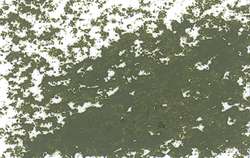 JAXON® oliepastelkrijt los, Leaf green