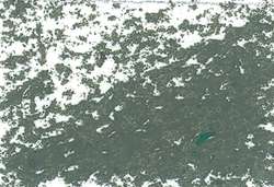 JAXON® oliepastelkrijt los, Grey green