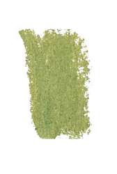 PASTELS GIRAULT® | Pastel extra-fine — los, Green-grey moss 170