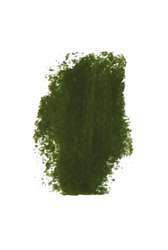 PASTELS GIRAULT® | Pastel extra-fine — los, Leaf green 200