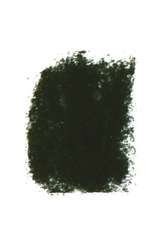 PASTELS GIRAULT® | Pastel extra-fine — los, Leaf green 199