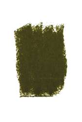 PASTELS GIRAULT® | Pastel extra-fine — los, Yellowish green-grey 492
