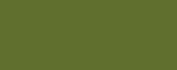MOLOTOW™ PREMIUM BELTON spuitbus, 400 ml, Nature green light 181-1
