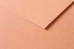 CLAIREFONTAINE TULIPE gekleurd knutselpapier, losse vellen, 50 cm x 65 cm, Rust