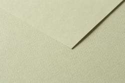 CLAIREFONTAINE TULIPE gekleurd knutselpapier, losse vellen, 50 cm x 65 cm, Almond