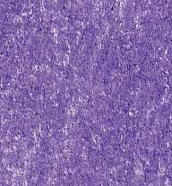 LYRA REMBRANDT POLYCOLOR Kleurpotloden, als losse kleuren, purpur