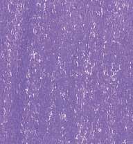 LYRA REMBRANDT POLYCOLOR Kleurpotloden, als losse kleuren, violet