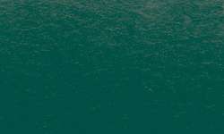 Penseel Ink Brush Sennelier, brushpen, Pine green