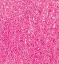 LYRA REMBRANDT POLYCOLOR Kleurpotloden, als losse kleuren, purpurroze