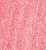 LYRA REMBRANDT POLYCOLOR Kleurpotloden, als losse kleuren, vleeskleur