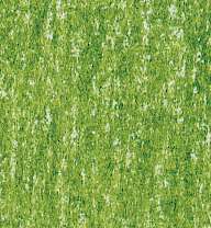 LYRA REMBRANDT POLYCOLOR Kleurpotloden, als losse kleuren, chroomgroen