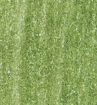 LYRA REMBRANDT POLYCOLOR Kleurpotloden, als losse kleuren, sapgroen