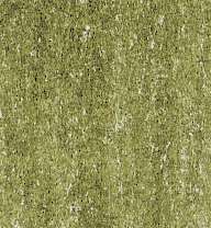 LYRA REMBRANDT POLYCOLOR Kleurpotloden, als losse kleuren, olijfgroen