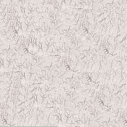 CLAIREFONTAINE Ingres pastelpapier, 50cmx65cm, Light grey