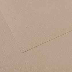 CANSON® Mi-Teintes® gekleurd tekenpapier, vel 50 x 65cm (min.5 vel), Middengrijs 122