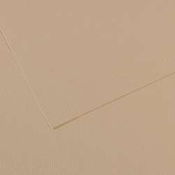 CANSON® Mi-Teintes® gekleurd tekenpapier, vel 50 x 65cm (min.5 vel), Lichtgrijs 343