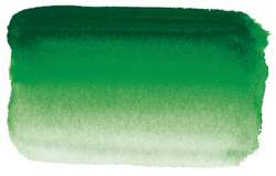 Hooker's green