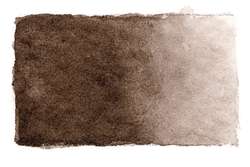 Sepia bruin