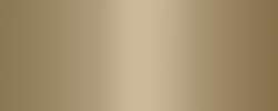 MOLOTOW™ PREMIUM BELTON spuitbus, 400 ml, Gold dollar 220-1